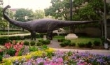 dinosaur