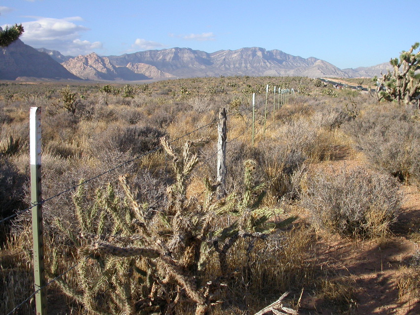 Red Rock Canyon