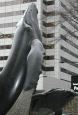 whales