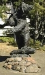 bear