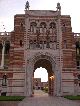 Rice University