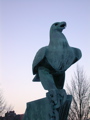 eagle